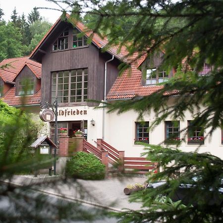 Отель Waldfrieden Waldheim Экстерьер фото
