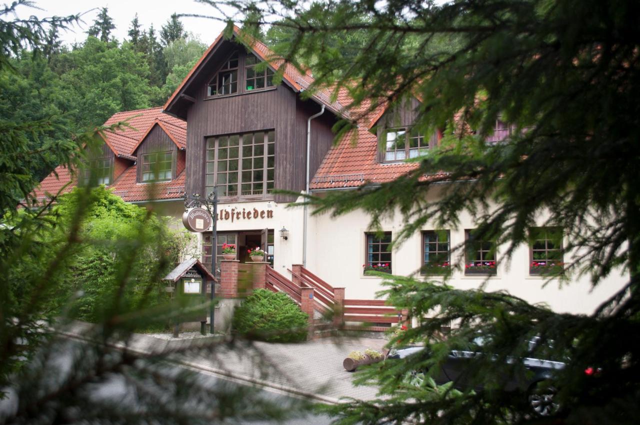 Отель Waldfrieden Waldheim Экстерьер фото